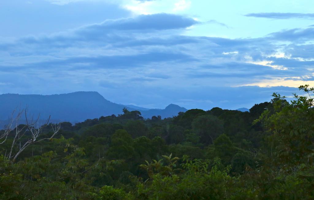 Blue Banyan Inn Quepos Esterno foto