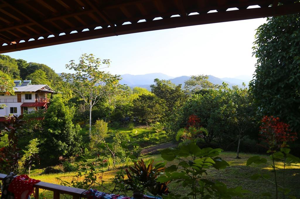 Blue Banyan Inn Quepos Esterno foto