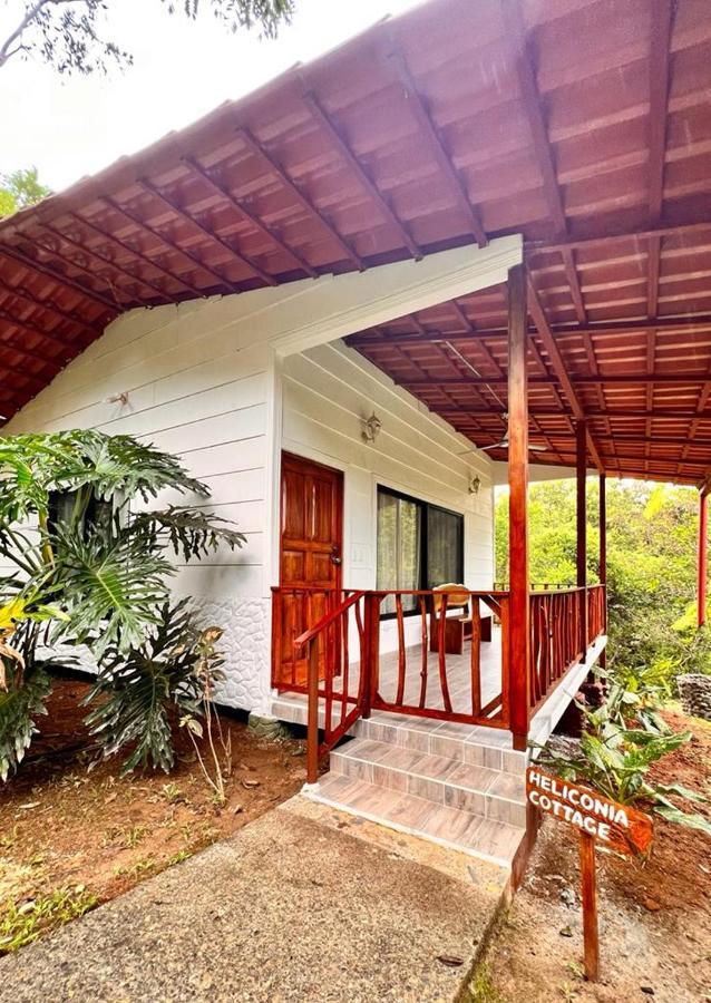 Blue Banyan Inn Quepos Esterno foto